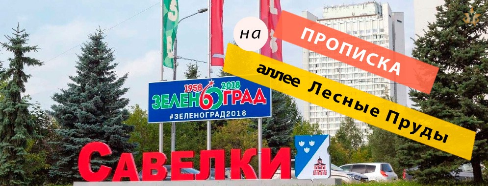 Прописка на аллее Лесные Пруды